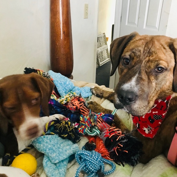 Hello and welcome to my Gram’s closet - Picture 3 of 3